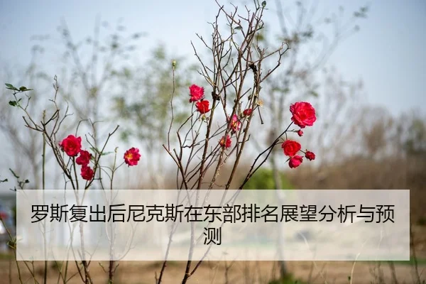 罗斯复出后尼克斯在东部排名展望分析与预测