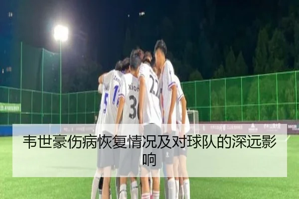 韦世豪伤病恢复情况及对球队的深远影响